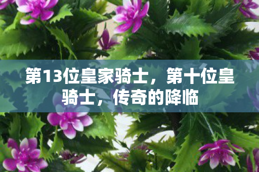 第13位皇家骑士图片