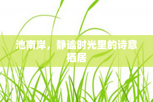 静谧时光里的诗意栖居图片