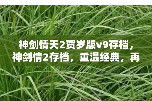 神剑情天2贺岁版v9存档图片