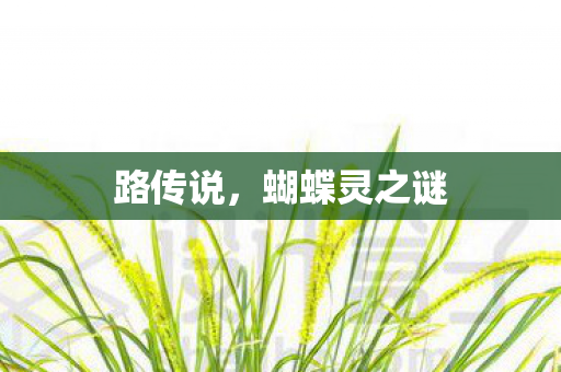 蝴蝶灵之谜图片