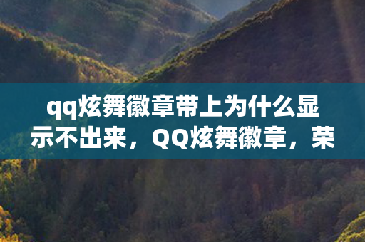 qq炫舞徽章带上为什么显示不出来，QQ炫舞徽章，荣誉的象征与游戏的魅力