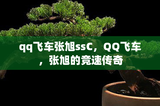qq飞车张旭ssC图片