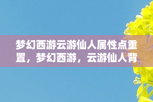 梦幻西游云游仙人属性点重置图片