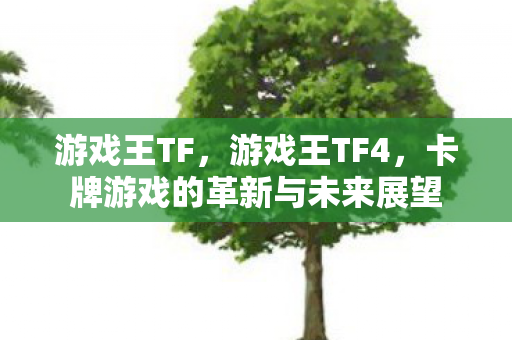 卡牌游戏的革新与未来展望图片