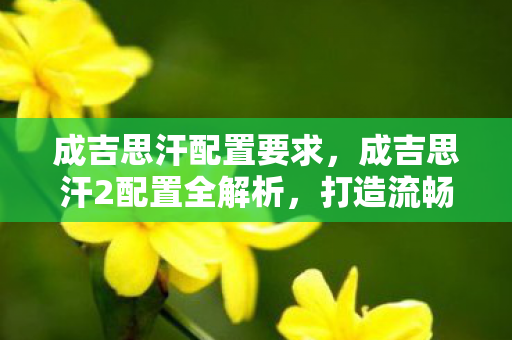 成吉思汗2配置全解析图片