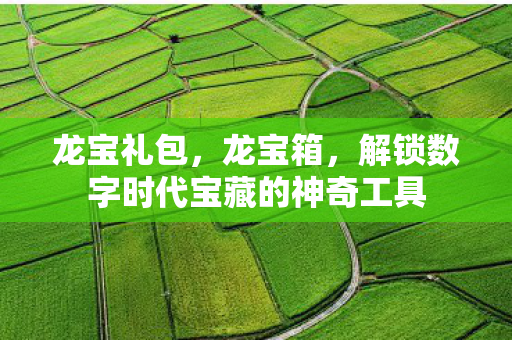 解锁数字时代宝藏的神奇工具图片