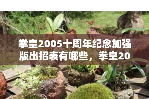 拳皇2005十周年纪念加强版出招表有哪些图片