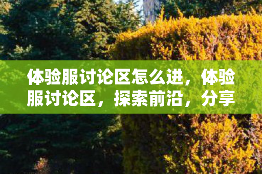 体验服讨论区怎么进，体验服讨论区，探索前沿，分享心得