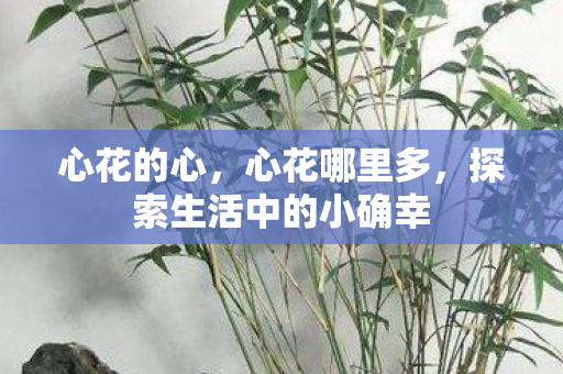 探索生活中的小确幸图片