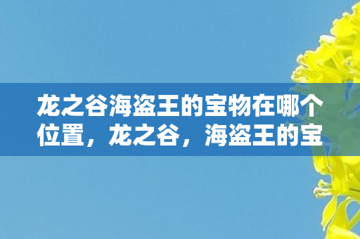 龙之谷海盗王的宝物在哪个位置图片