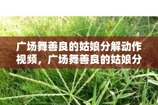 广场舞善良的姑娘分解动作视频图片