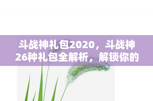 斗战神26种礼包全解析图片