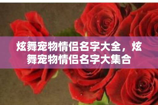 炫舞宠物情侣名字大全，炫舞宠物情侣名字大集合