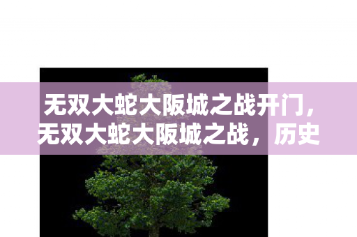 无双大蛇大阪城之战开门图片