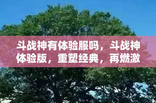 斗战神有体验服吗图片