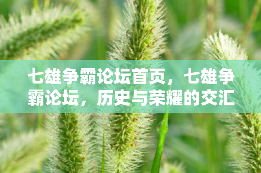 历史与荣耀的交汇之地图片