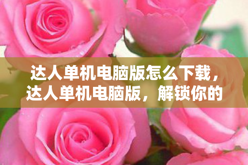 达人单机电脑版怎么下载图片