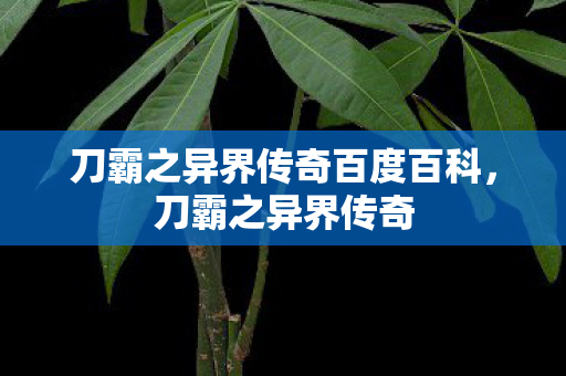 刀霸之异界传奇百度百科图片