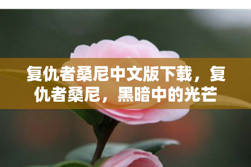 复仇者桑尼中文版下载图片