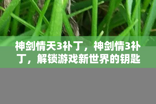 解锁游戏新世界的钥匙图片