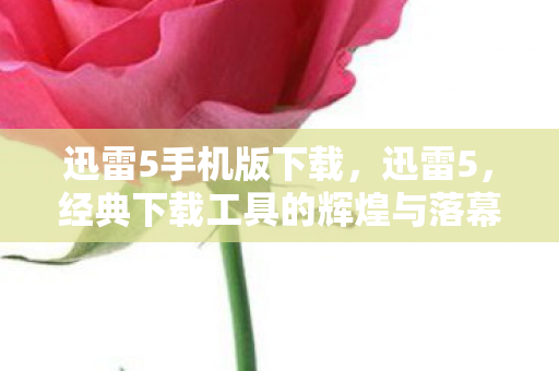 经典下载工具的辉煌与落幕图片