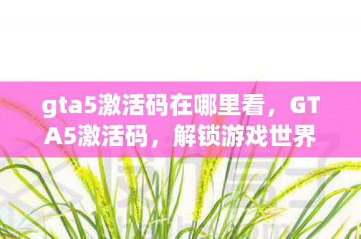 gta5激活码在哪里看图片