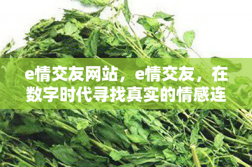 在数字时代寻找真实的情感连接图片