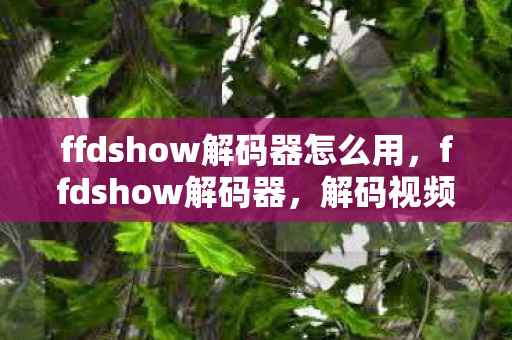 ffdshow解码器怎么用图片