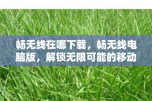 解锁无限可能的移动办公新体验图片