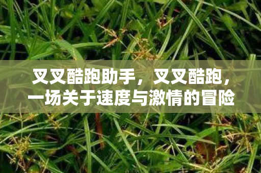 一场关于速度与激情的冒险图片