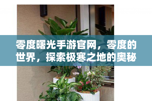 探索极寒之地的奥秘图片