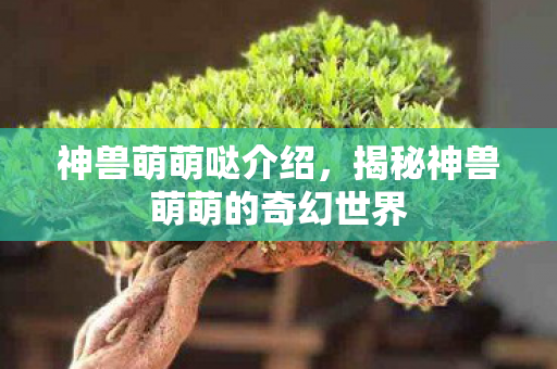 神兽萌萌哒介绍，揭秘神兽萌萌的奇幻世界