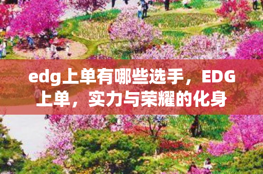 edg上单有哪些选手图片