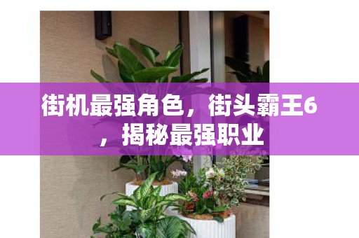 街机最强角色图片