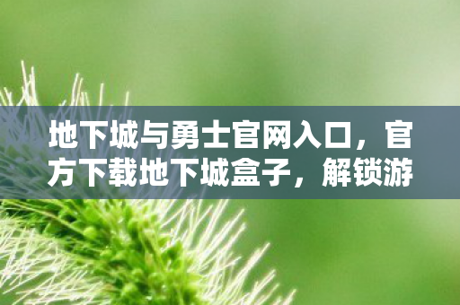 地下城与勇士官网入口图片