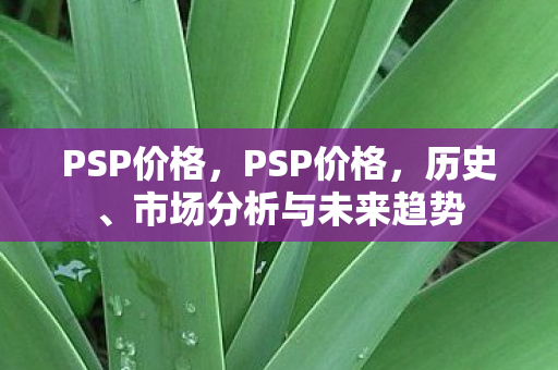 市场分析与未来趋势图片