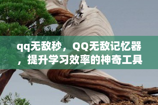 提升学习效率的神奇工具图片