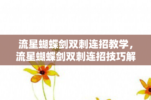 流星蝴蝶剑双刺连招技巧解析图片