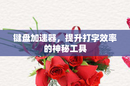 提升打字效率的神秘工具图片