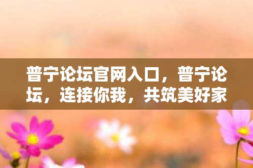 普宁论坛官网入口图片