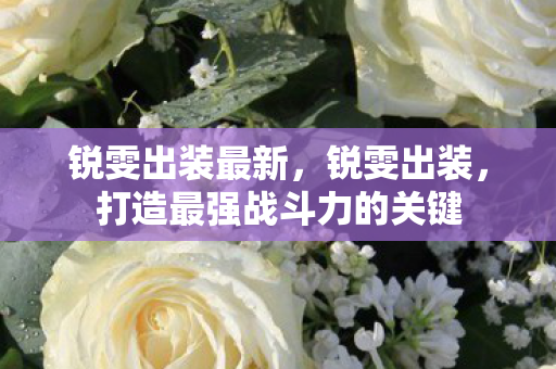 打造最强战斗力的关键图片