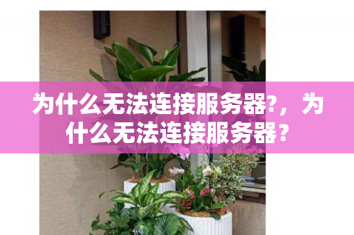 为什么无法连接服务器图片