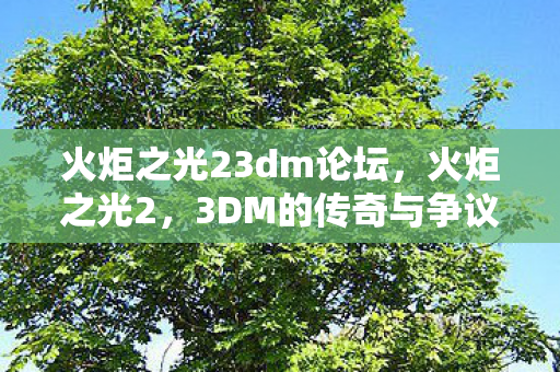 火炬之光23dm论坛图片
