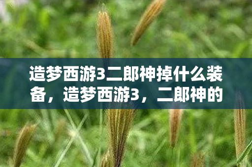 造梦西游3二郎神掉什么装备图片