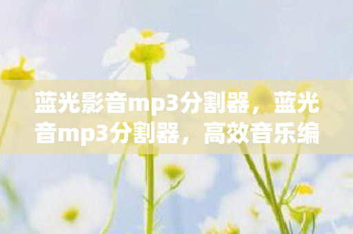 蓝光影音mp3分割器图片