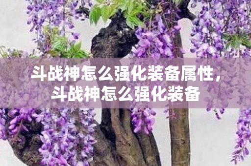 斗战神怎么强化装备属性图片