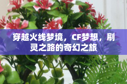 刷灵之路的奇幻之旅图片