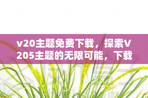 探索V205主题的无限可能图片