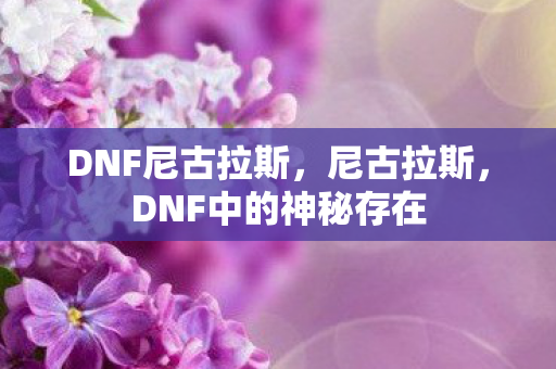 DNF中的神秘存在图片