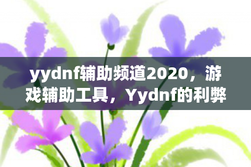 Yydnf的利弊分析与使用建议图片